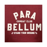 HOODIE - CLASSIC MAROON